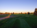 10-Tee