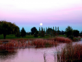 13-Tee