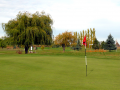 16-Green