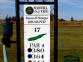 Hole17