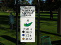 Hole-8